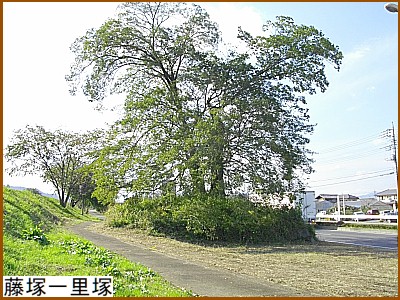 藤塚一里塚