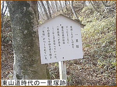 ���R������̈ꗢ�ː�