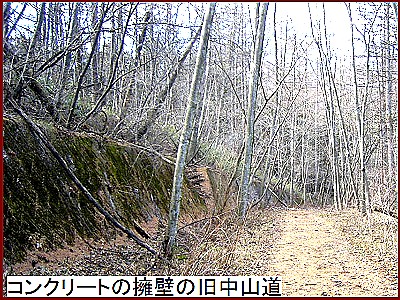 �R���N���[�g�̗i�ǂ̋����R��