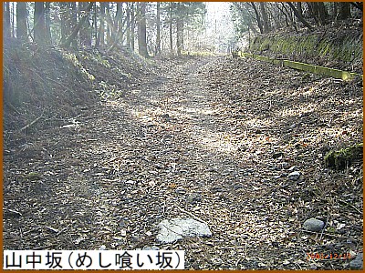 �R����i�߂��򂢍�j