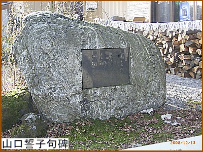 �R�����q���