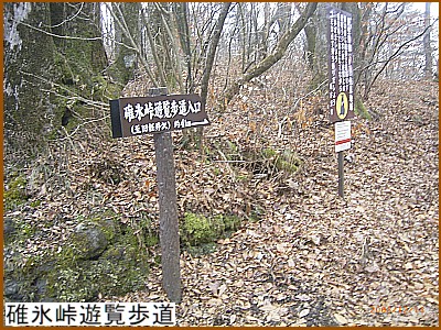 �O�X���V������