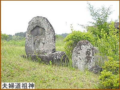 �v�w���c�_