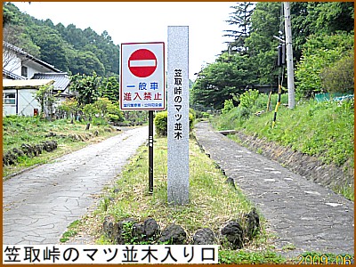 �}�擻�̃}�c���ؓ����