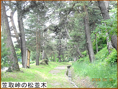 �}�擻�̏�����