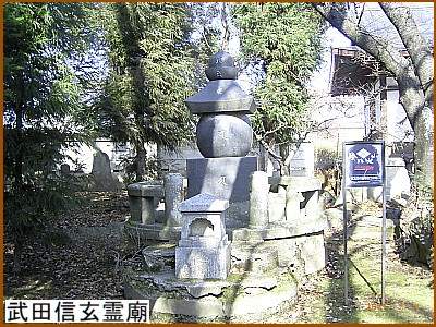 ���c�M����_