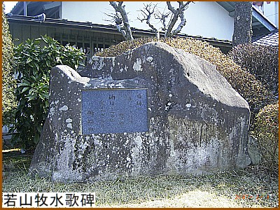 ��R�q���̔�