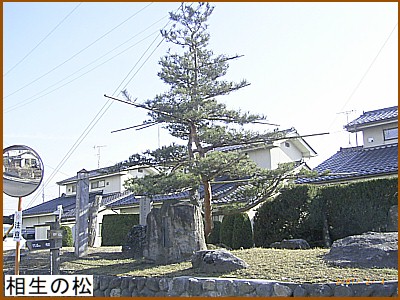 �����̏�