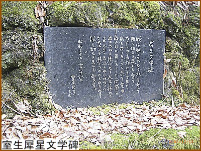 �����Ґ����w��