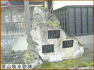 ��R�q���̔�