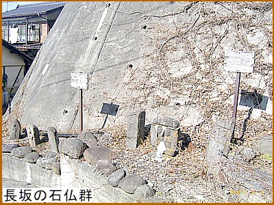 ����̐Ε��Q