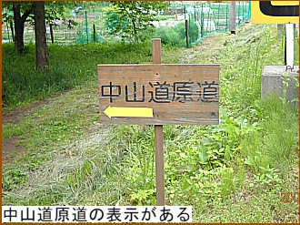 ���R�������̕\��