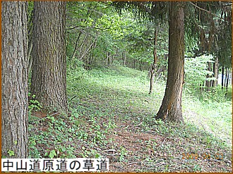 ���R�������̑���