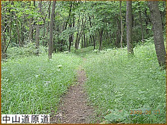 ���R������