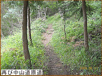 �Ăђ��R�������̑���