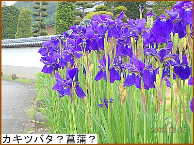 �J�L�c�o�^�H�Ҋ��H