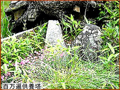 �S���Ջ��{��