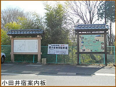 ���c��h�ē���