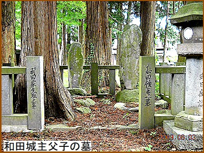 �a�c�����M�蕃�q�̎񋉂���������Ă����