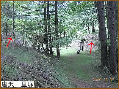 ����ꗢ��