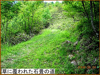 ���ɕ���ꂽ�Ώ�̓�