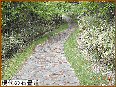 ����̐Ώ���