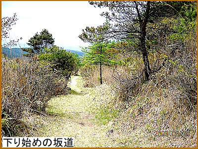 ����n�߂̍⓹