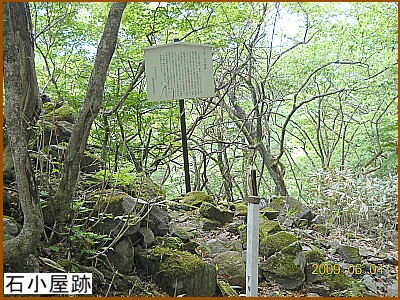 �Ώ�����