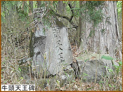 �����V����