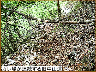 �K����̘A��