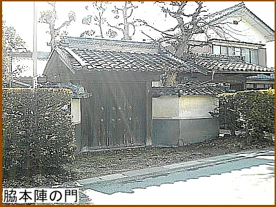 �e�{�w�̖�