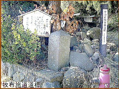 �q�z�{�����W