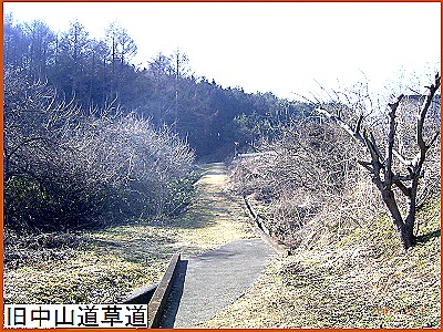 �����R������