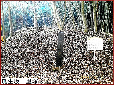 �Z����ꗢ��