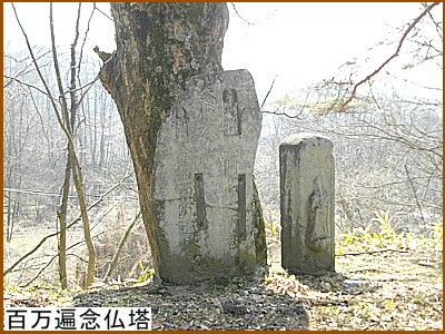 �S���ՔO����