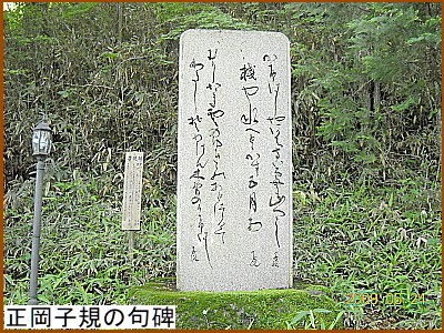 �����q�K�̋��