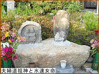 �v�w���c�_�Ɛ�������