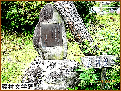 �������w��