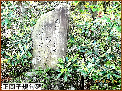 �����q�K