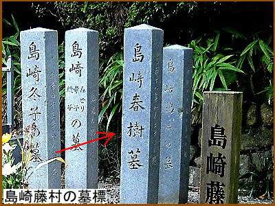 �ɓ��蓡���̕�W