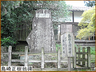 ���萳������