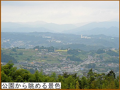 �������璭�߂�i�F