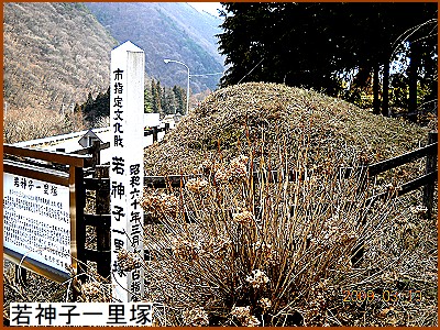 ��_�q�i�킩�݂��j�ꗢ��