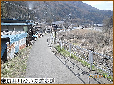 �ޗǈ�쉈���̗V����