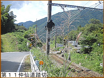 ��P�P���哹����