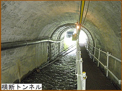 �������f�g���l��