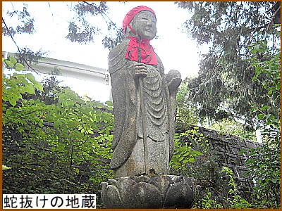 �֔����̒n��