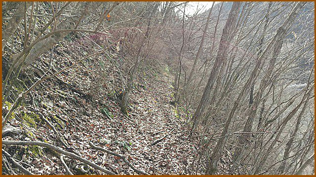 今度は、柵もなく幅も狭い斜面道になり２００ｍほど続きました。