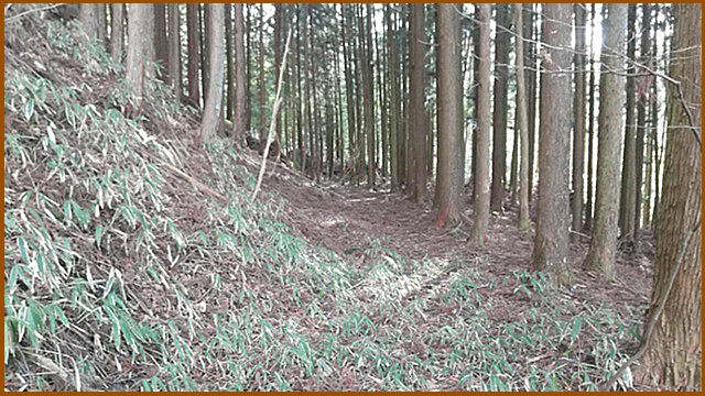 そこを突破すると、街道の道筋らしき感じになり １00ｍほど進むと