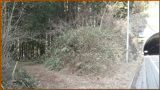 そこを抜けると、なんと国道 19 号の野尻隧道南出口付近に出ました。